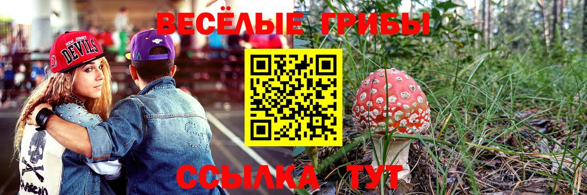 Ульяновск  Галлюциногенные грибы Psilocybe  Псилоцибиновые грибы ЛСД  Вход с VPN 