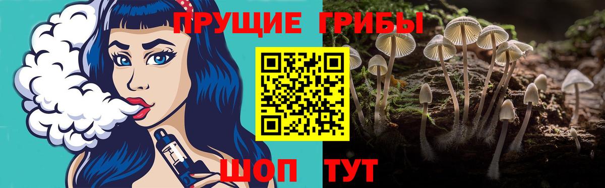 Псилоцибиновые грибы Psilocybine cubensis Ульяновск